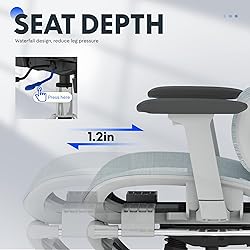 FLEXISPOT ErgoX Premium Ergonomic Office Chair with