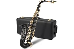 GODECOR E Flat Alto Saxophone, Brass Alto Saxophones Instrument with Carry Case, Mouthpiece, Cleaning Brush & Cloth, Strap Accessories For Beginner Professional