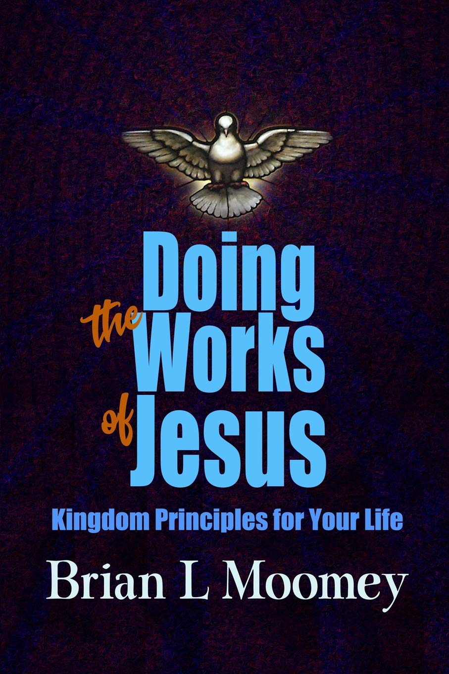 Doing The Works Of Jesus Kingdom Principles For Your Life - 