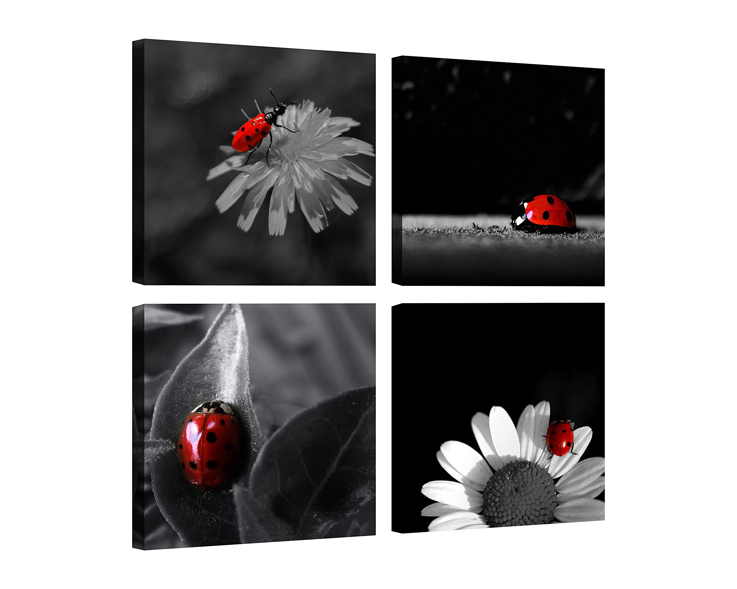 Photo 1 of Black and White Wall Art Insect Wall Decor Ladybugs on Flowers Pictures on Canvas Wall Art for Home Office Decorations Living Room Bedroom and Kitchen Decor 4 Pcs Framed Canvas Prints 12X12inches