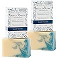 Bleu Lavande – 100% Natural Handmade Lavender Body Soap 2 Pack – Made with Certified Premium & Pure True Lavender Essential O