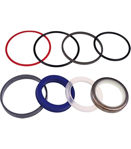 Amazon.com: Lesurey Hydraulic Tilt Cylinder Seal Kit 128728A1