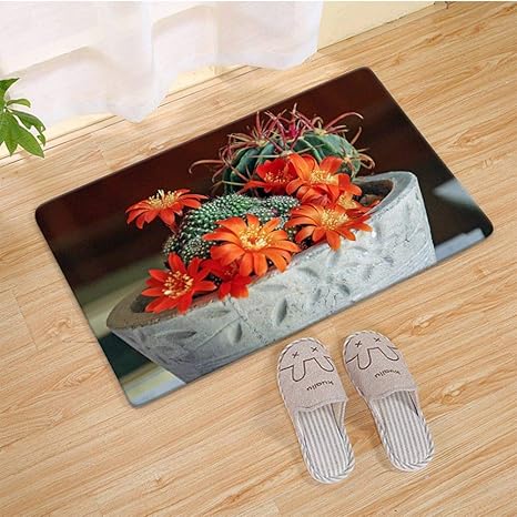 Amazon フロアマット バスマット サイズ 40cmx60cm マミラリア多肉植物サボテン観葉植物 玄関マット トイレマット 足ふきマット 滑り止め加工 家庭用 消臭 抗菌 強い吸水 速乾性 お風呂マット カーペット 玄関マット オンライン通販