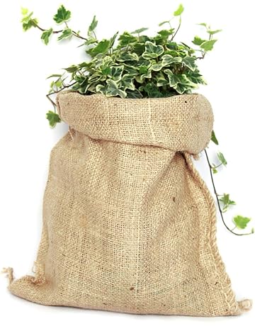 Bolsas para plantas | Amazon.es