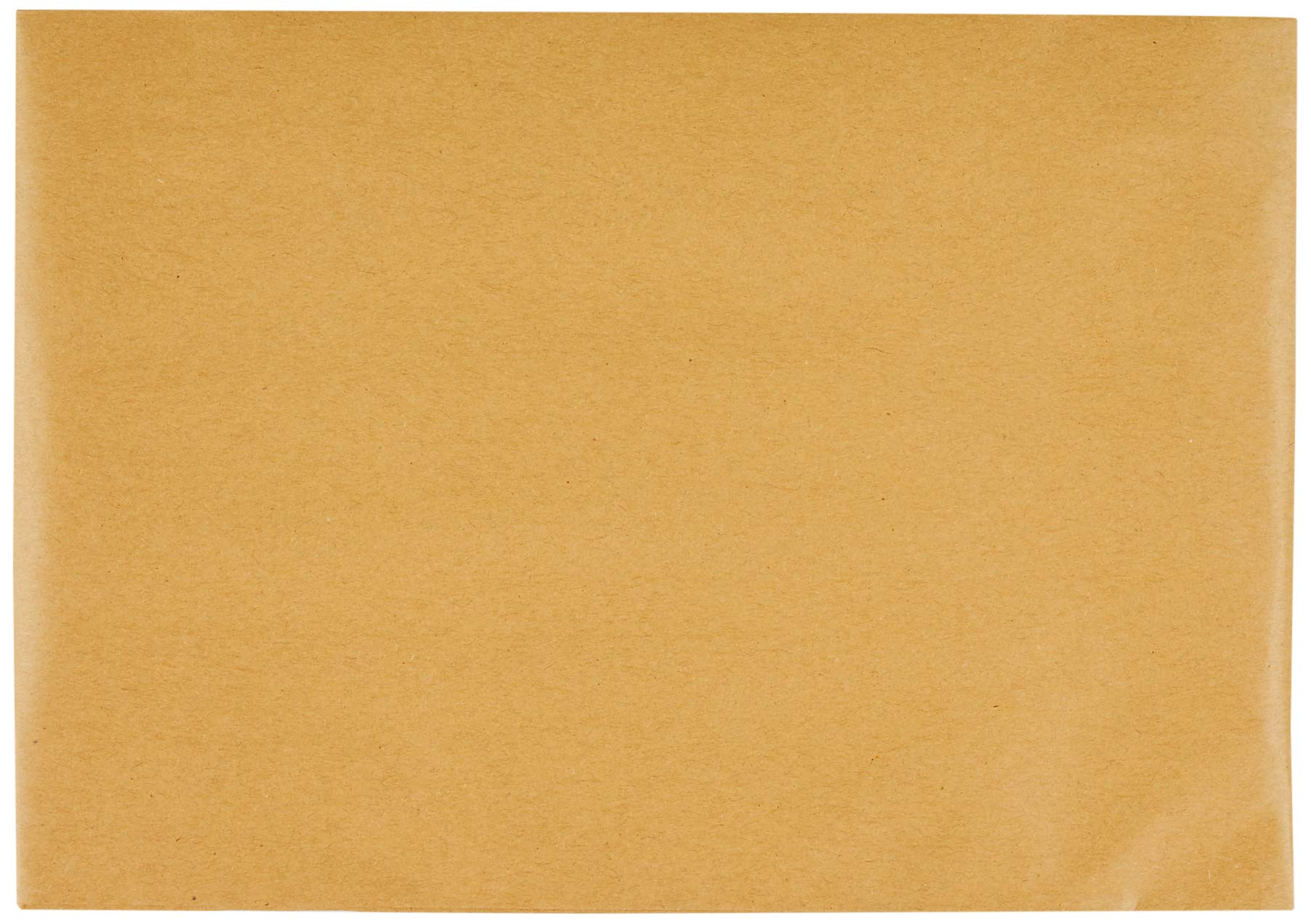 Blake Vita B5 Eco Cushion Recycled Kraft Padded Plastic-Free Paper Mailer (REPDB5) Pack of 100, 250 x 176 mm