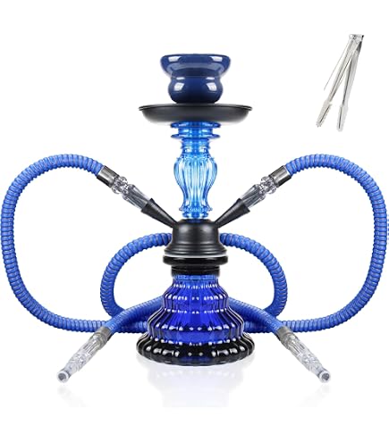 Amazon.com: Zebra Smoke Series: 11