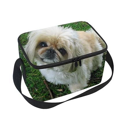 Amazon Com Reusable Shih Tzu Dog Lunch Bags Insulated Lunch Boxs
