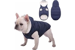 SAWMONG Windproof Waterproof Dog Coat Fleece & Cotton Lined Warm Jacket, Cold Weather Pet Apparel Clothes Vest for Small to Large Dogs (L, Blue)