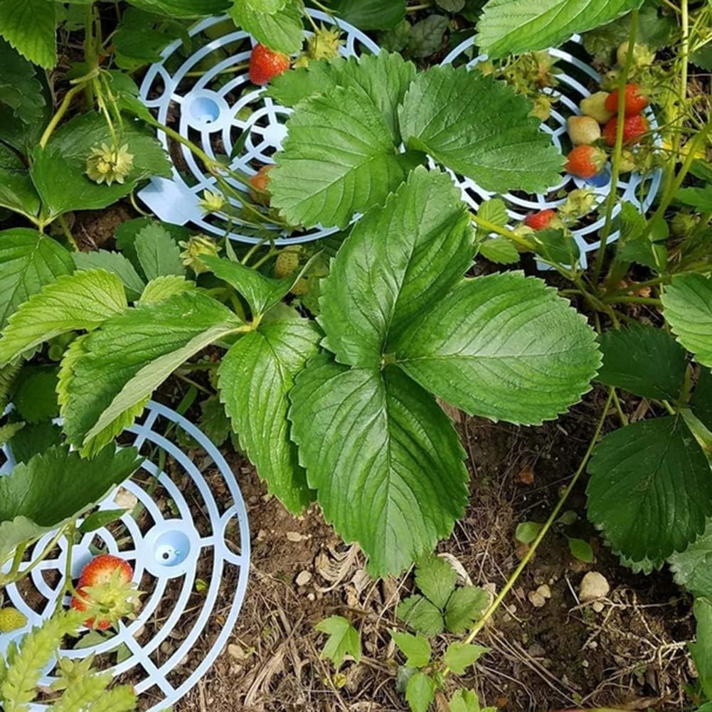 JYCRA Soporte de plástico para Plantas de melón, Soporte de ...