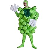 Fun Costumes Adult Green Grapes Costume - Fruit Costume for Men and Women - One Size