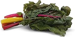 Organic Rainbow Chard, 1 Bunch