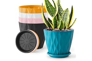 Artcochan 6 inch Plant Pots with Drainage Holes and Tray Saucers 5 Pack Flower Pots Outdoor Indoor - Ideal for Indoor Plants, Succulents, and Small Pots for Plants (Multicolor)