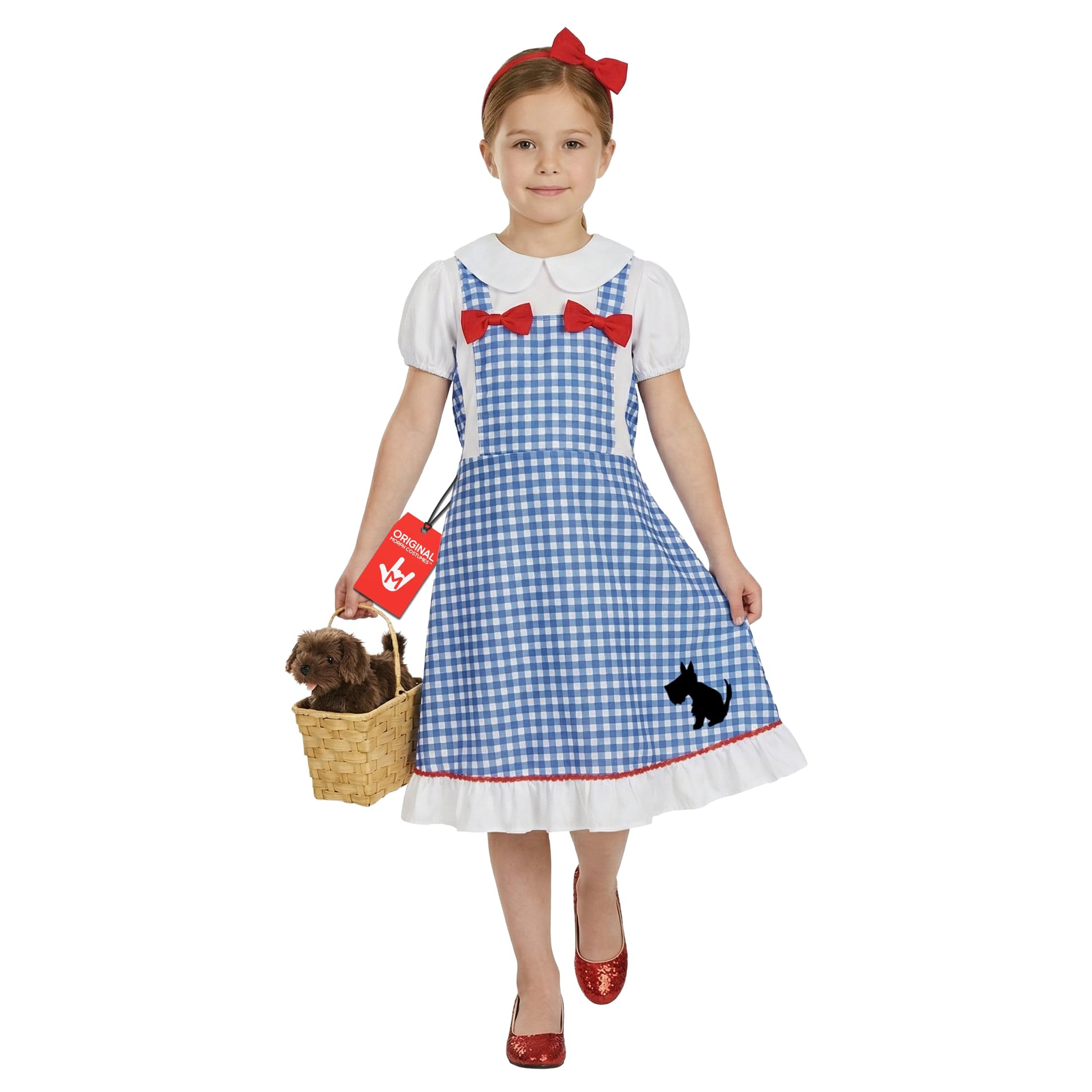 Fun Shack Dorothy Costume Kids, Kids Dorothy Costume, World Book Day Costumes for Girls, Girls World Book Day Costumes, Small