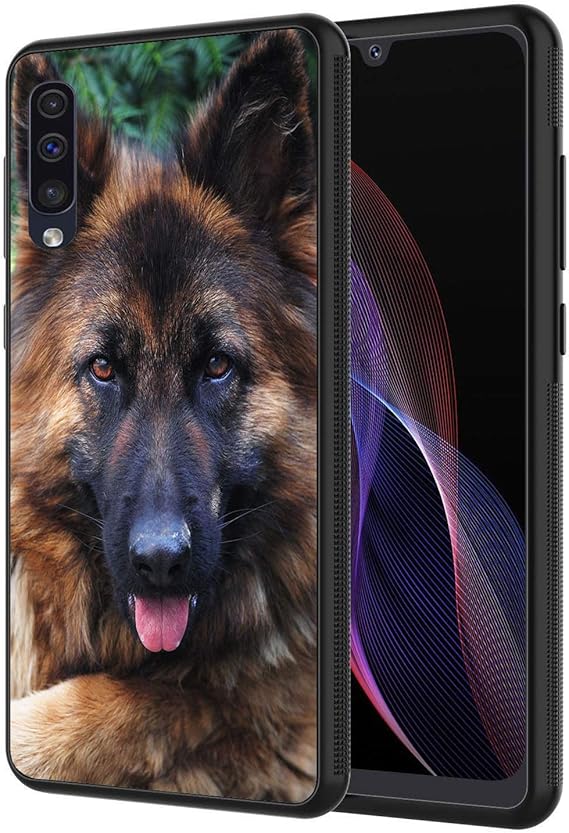 german shepherd scratching