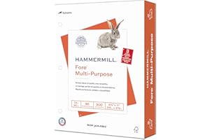 Hammermill Printer Paper, Fore Multipurpose 24 lb Copy Paper, 3 hole - 1 Ream (500 Sheets) - 96 Bright, Made in the USA