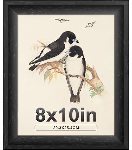 Set Of 12 Black Picture Frames 11x14 With Mat - Modern Wall Decor Ready To Hang - View #14