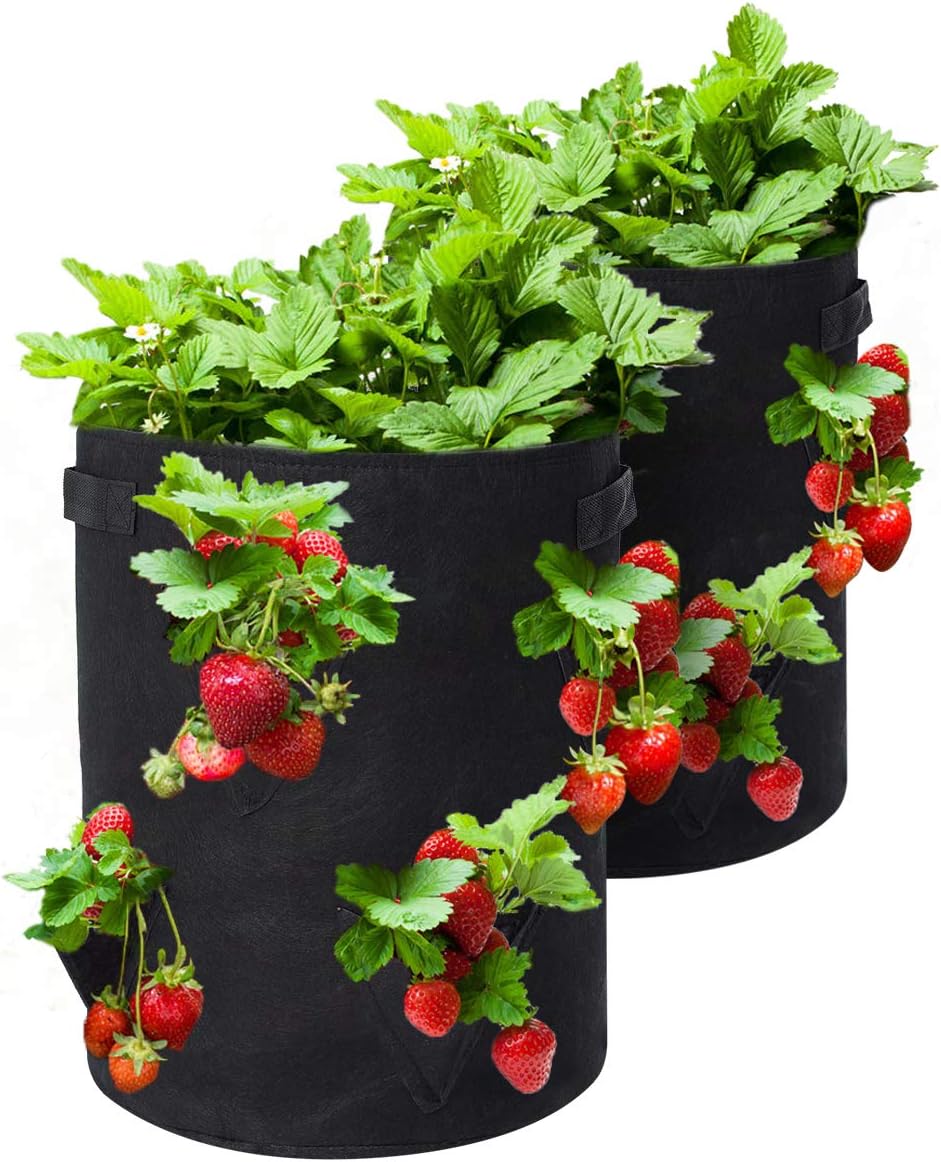 TVIRD Strawberry Grow Bags,2 Pack-10 Gallon Strawberry Planting Bags of Heavy Duty Pouch Fabric Material with Handles and 8 Side Growth Pockets,Vegetable Planting Pots in Breathable Cloth (Black)