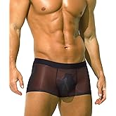 PAIZH Mens Sexy See Through Boxers Ice Silk Sheer Underwear Trunks Stretch Ultra Thin Bulge Pouch Boxer Briefs