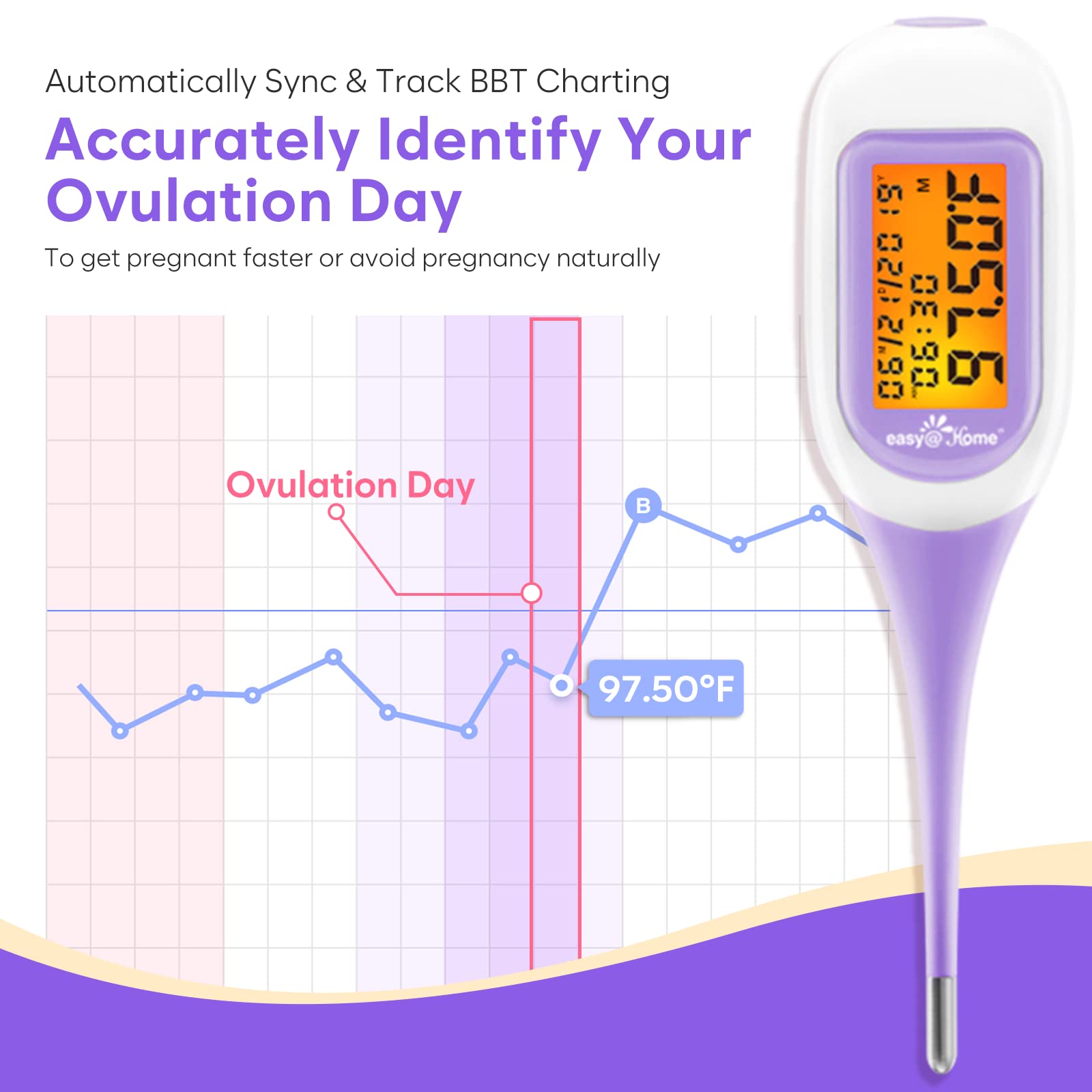 Easy@Home Smart Basal Thermometer, Large Screen and Backlit, Period Tracker with Premom (iOS & Android) - Auto BBT Sync, Charting, Coverline, Accurate Fertility Prediction EBT-300 Purple