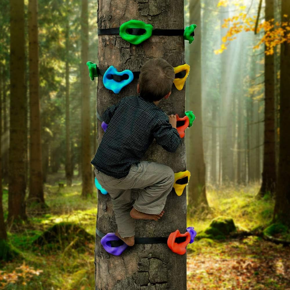 PLYFUNS 12 Ninja Tree Climbing Holds for Kids - Rock Climbing Holds with 6 Sturdy Ratchet Straps Adult Climbing Rocks for Outdoor Play Course Training: Toys & Games