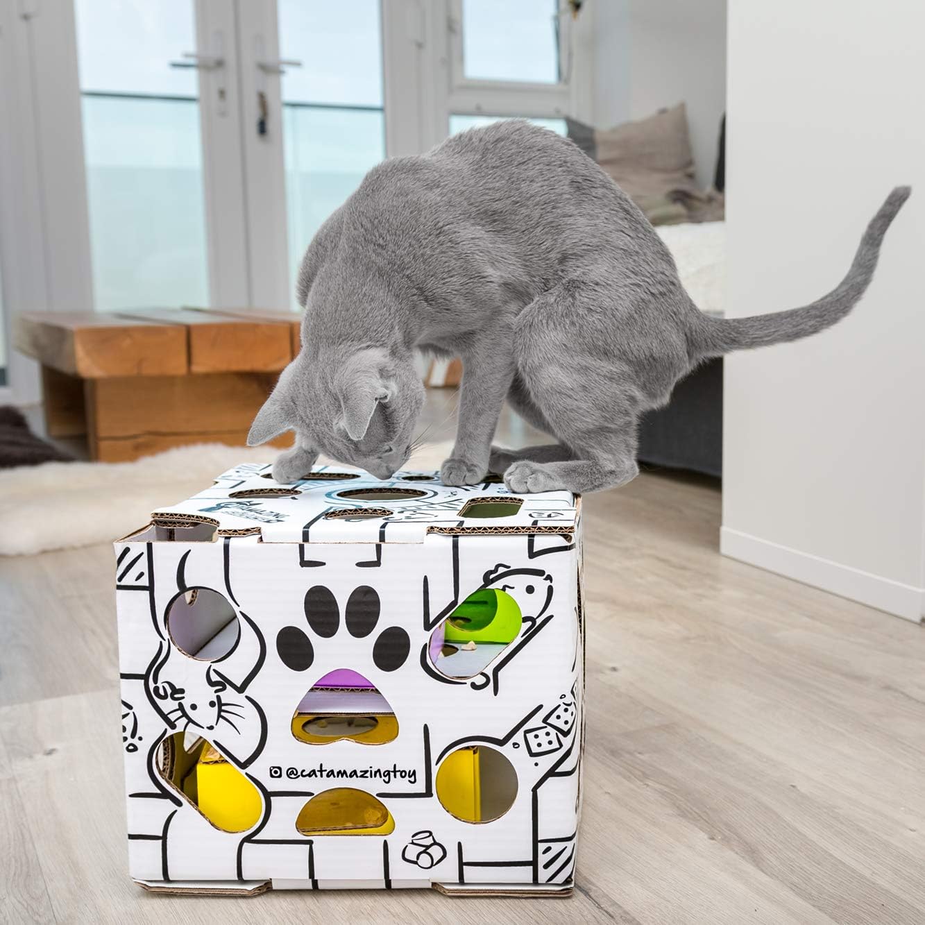 Cat Amazing Sliders – Interactive Treat Puzzle Cat Toy – Active Food Puzzle Feeder : Pet Supplies