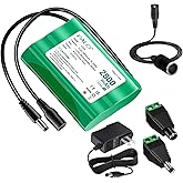 Palogreen 12V Battery Pack 2800mAh Rechargeable Li-ion Battery with Charger & Adapter Compatible with 12V Devices,RC Car,DIY Project, Radio,Fishing Light,LED Light Strip,CCTV Camera, Boat, Robot