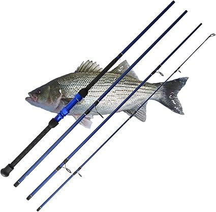 amazon sea fishing rods