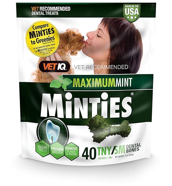 MINTIES DOG DENTAL BONE TREATS, MINT, TINY/SMALL, 16 OZ (PACK OF 2)