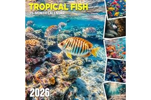 Tropical Fish 2026 Calendar: Reef dwellers in dazzling aquatic color