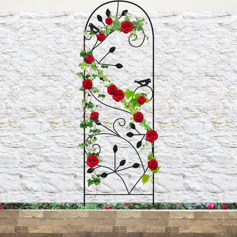 Best Rated In Garden Trellises Helpful Customer Reviews Amazoncom