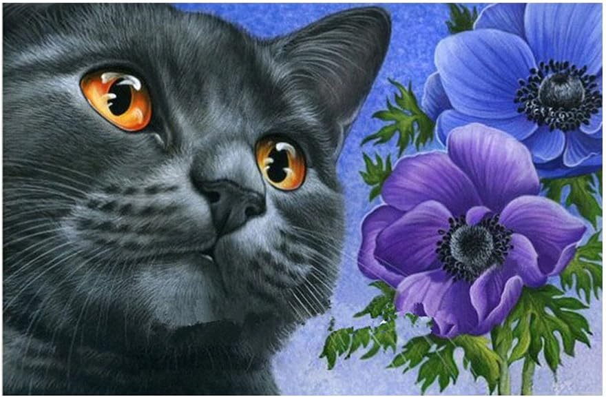 iYmitz 5D Diamond Painting Kit Full Drill DIY Rhinestone Embroidery Cross Arts Crafts Stitch Kit for Home Wall Decor Oil Painting Cute Cat (B, 40x30cm)