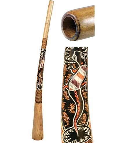 Amazon.com: Didgeridoo Sandwich 73 inch without bag (Tone D