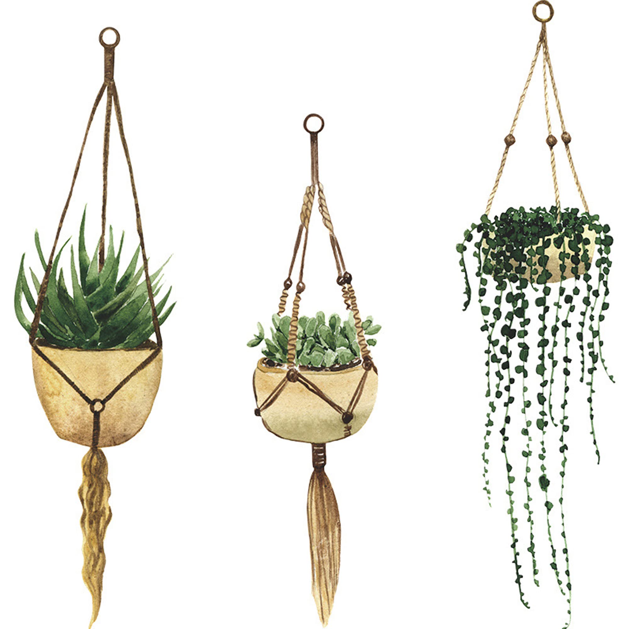 Wall Tattoo Plants Tropical Wall Sticker Flower Pot Wall Sticker Hanging Plants Wall Sticker Wall Pictures Plants Wall Sticker for Living Room Bedroom Children's Room Kitchen Office Hallway