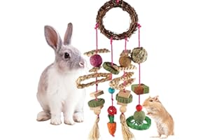 YIXUND Bunny Chew Toys, Rabbit Toys for Teeth Grass Timothy Cake and Treat for Guinea Pigs Hamster Chinchillas Rats and Other Rodent Toy Set