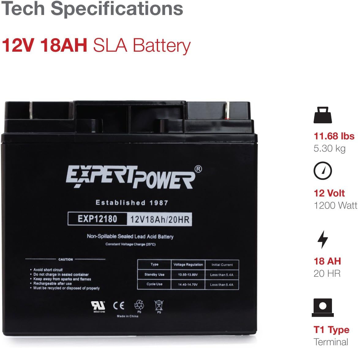 ExpertPower EXP12180 12V18AH Lead_Acid_Battery: Automotive