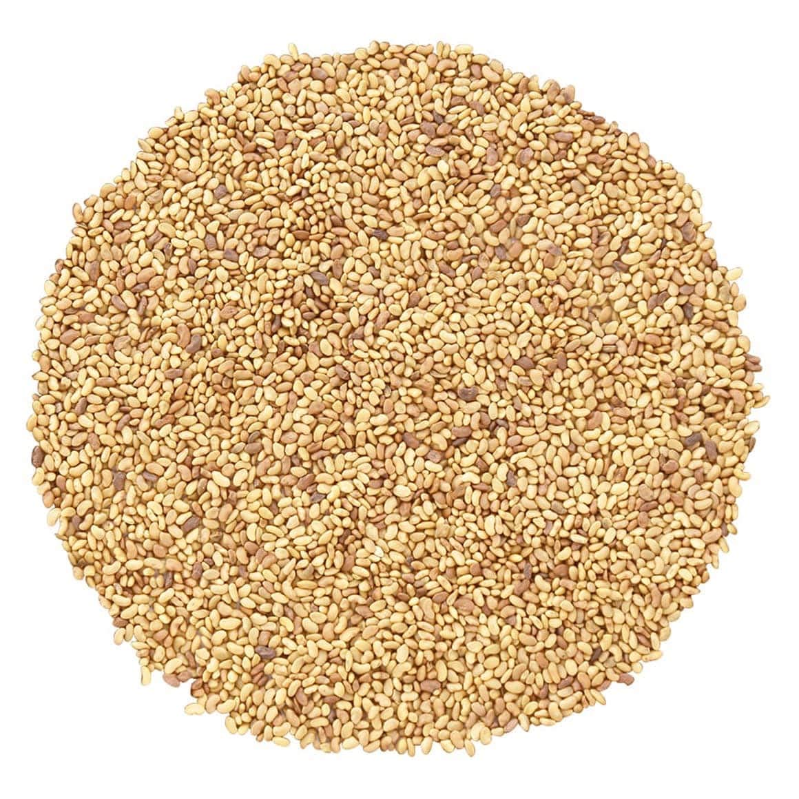 Organic Alfalfa Sprouting Seeds, 1 Pound - Non-GMO, Kosher, Raw, Vegan, Bulk: Grocery & Gourmet Food