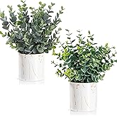 Taybonds Artificial Eucalyptus Plants in White Ceramic Pots, 2 Pack Faux Greenery Decor with Different Leaf Styles, Small Potted Plants for Shelf, Bathroom, Bedroom, Office Desk, 9.05" Tall