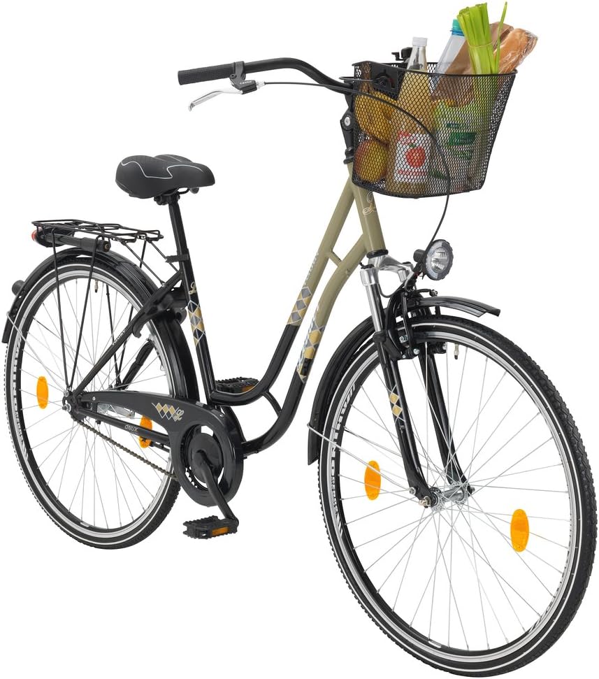 Leader Toury 28 Inch 48 cm Woman Coaster Brake Grey/Black
