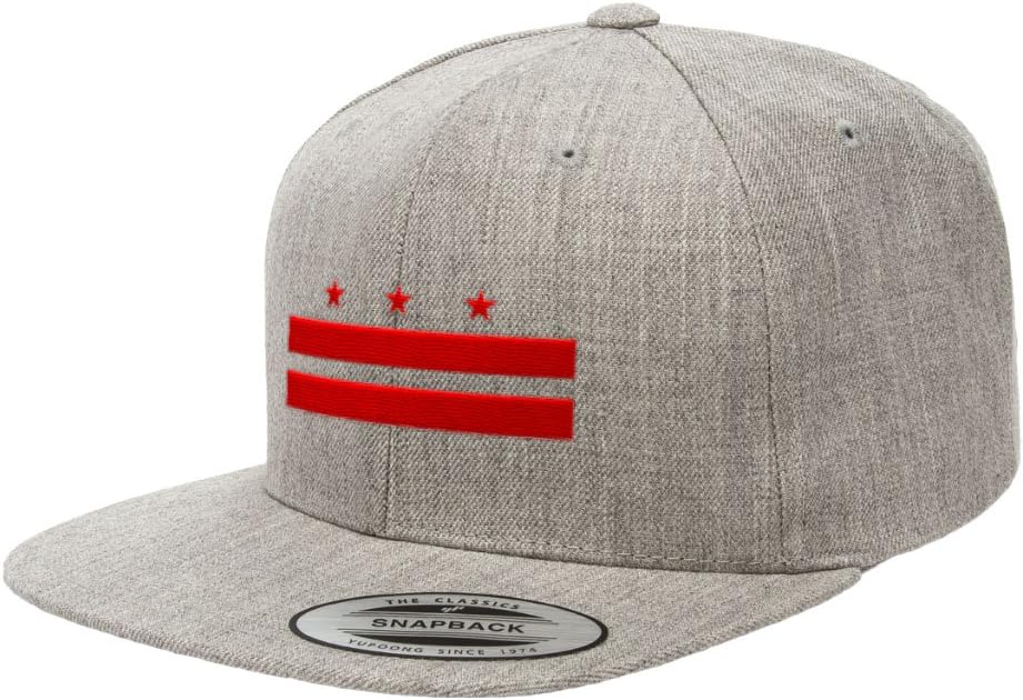 Washington D.C. Official Flag Snapback Hat 6089M