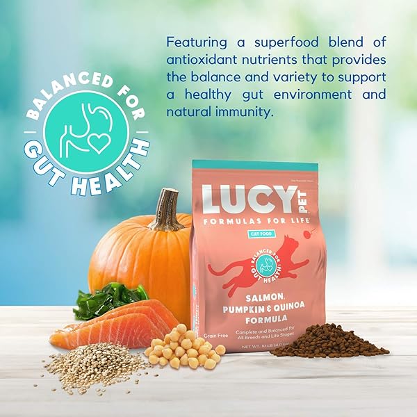 LUCY PET PRODUCTS LUCY PET CAT SALMON, PUMPKIN, & QUINOA 10LB