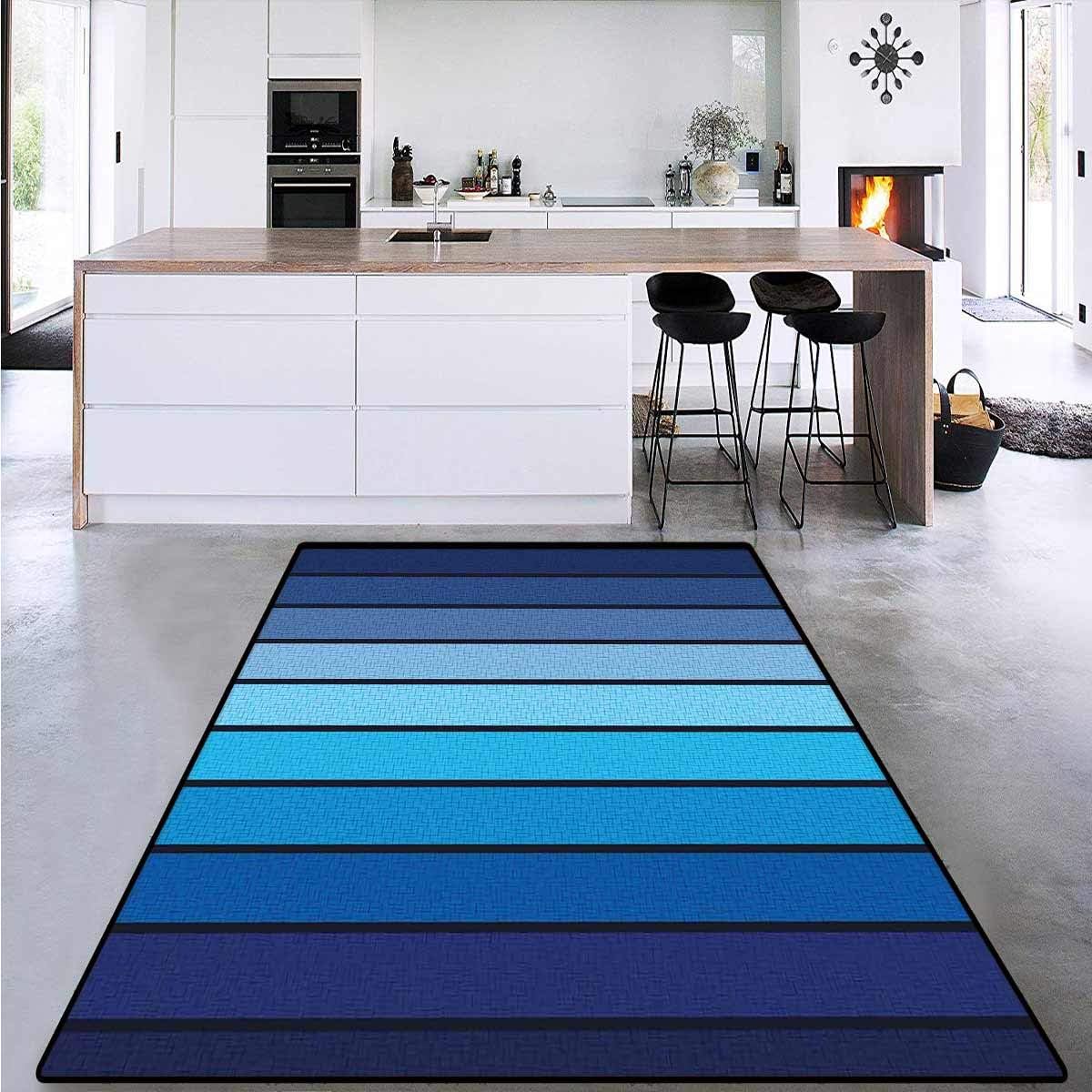 Floor Mat Pattern, Plaques in Blue Borders, Living Dinning