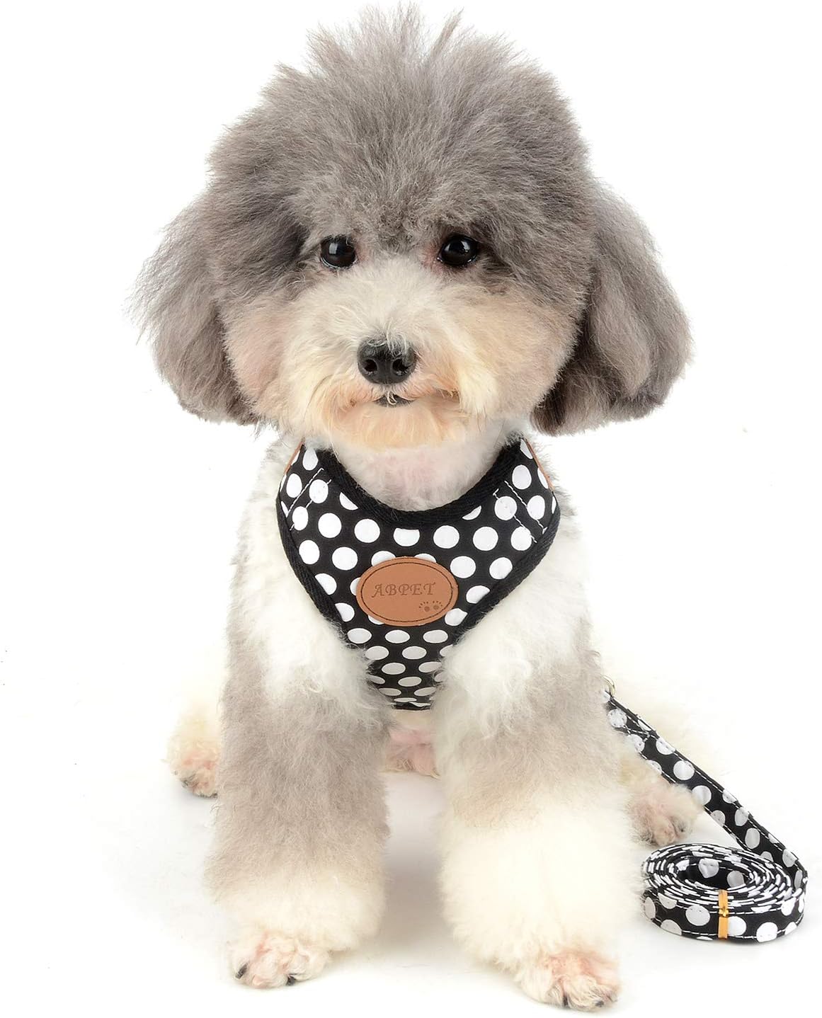 SMALLLEE_Lucky_Store New Soft Mesh Nylon Vest Pet Cat Small Medium Dog Harness Dog Leash Set Leads Black M - Image 4