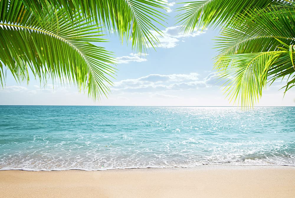 Haosphoto Tropical Sand Beach Backdrop for Photography 7X5FT Seaside Palm Tree Backdrops Hawaiian Barbecue Background for Girls Birthday Wedding Party Anniversary Photo Studio Props Vinyl HS789