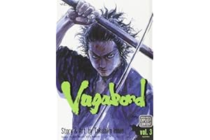 Vagabond, Vol. 3 (Volume 3)