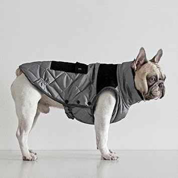 coats for bulldogs uk