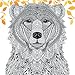 The Menagerie: Animal Portraits to Color