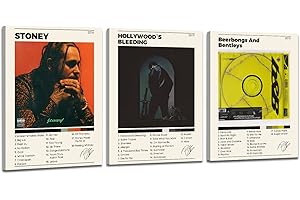 Felhcc Album Cover Posters, Set of 3 Album Cover Wall Art, Framed Canvas Wall Art, Modern Wall Art for Living Room, Bedroom, Bathroom, 12"x16" Framed with Hook (PM)