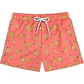 Century Star Toddler Boys Swim Trunks with Mesh Liner-Breathable Quick Dry Swim Shorts Bathing Suit for Little Kids 2-6 Year