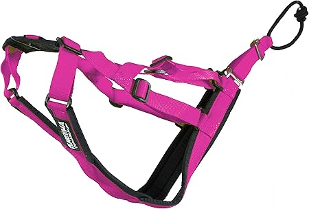 sled dog harness amazon