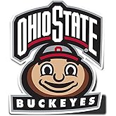 Desert Cactus The Ohio State University OSU Buckeyes Vinyl Decal Laptop Water Bottle Car Scrapbook Sticker (IND 105)